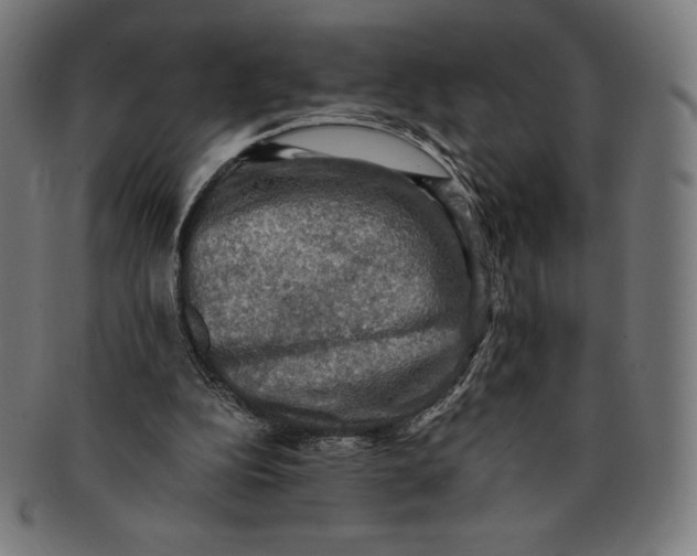 X0000091200152200709061420