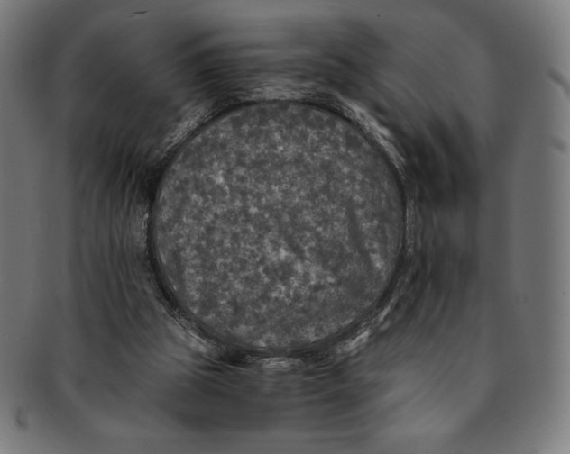 X0000091200153200709061420