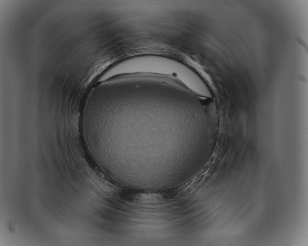 X0000091200154200709061420