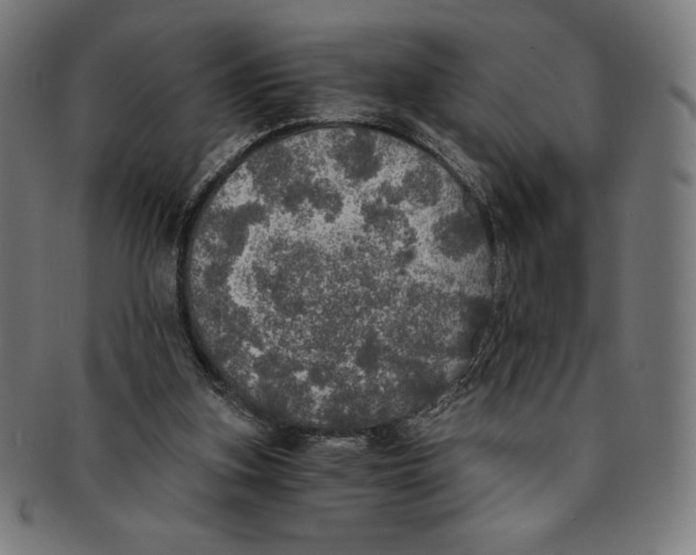 X0000091200155200709061420