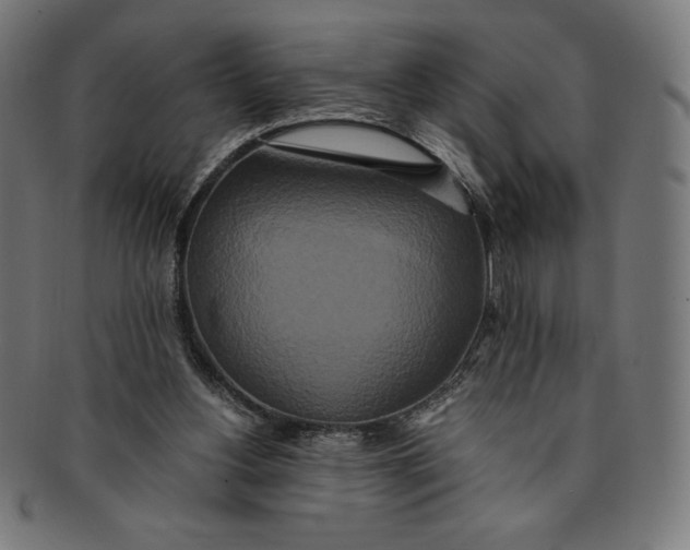 X0000091200156200709061420