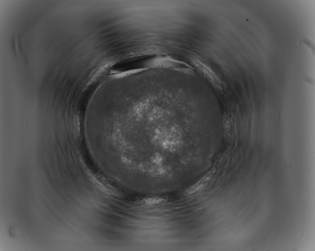 X0000091200158200709061420
