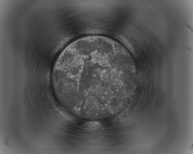 X0000091200159200709061420