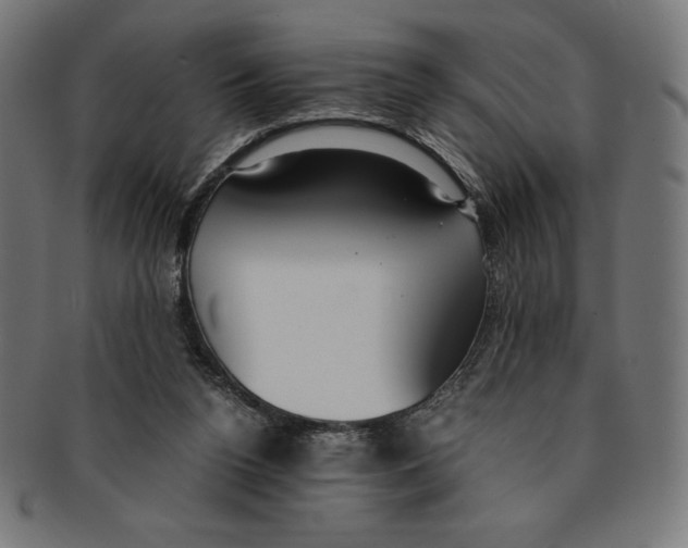 X0000091200160200709061420