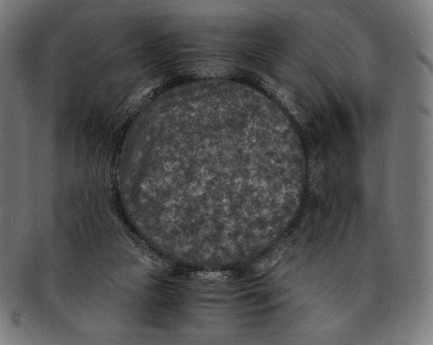 X0000091200161200709061420