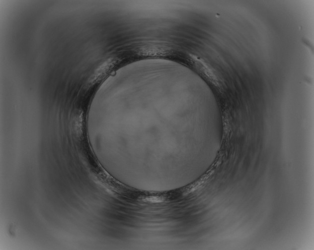X0000091200163200709061420