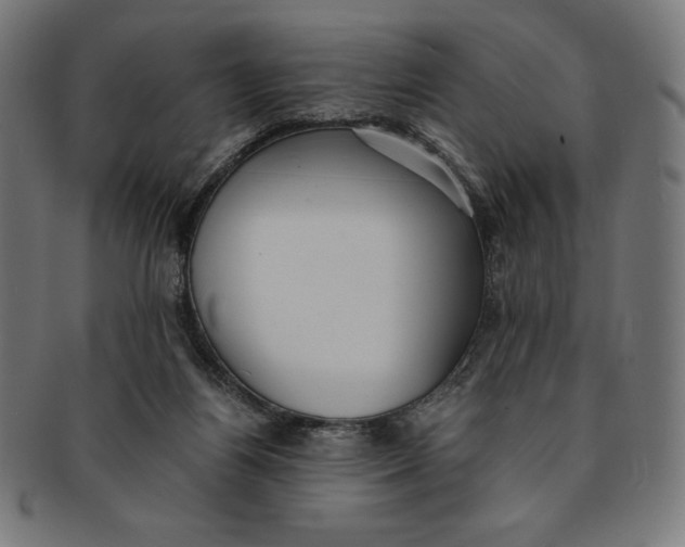 X0000091200164200709061420