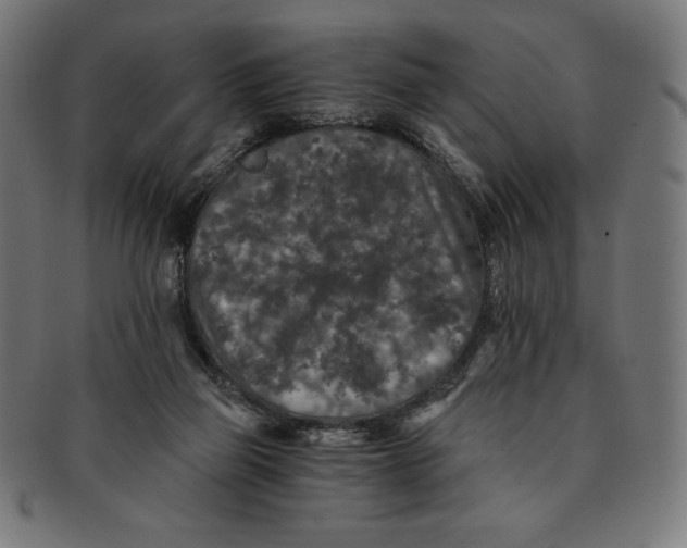 X0000091200165200709061420