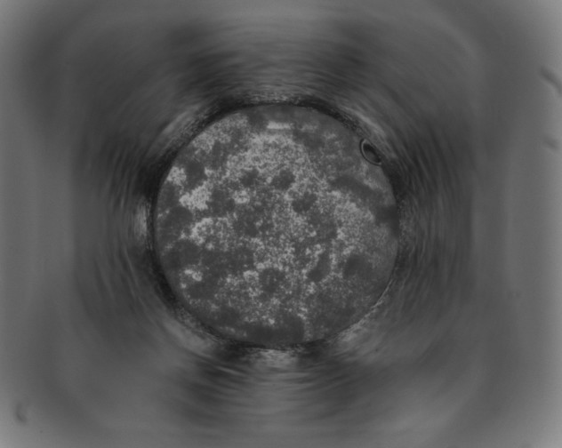 X0000091200166200709061420