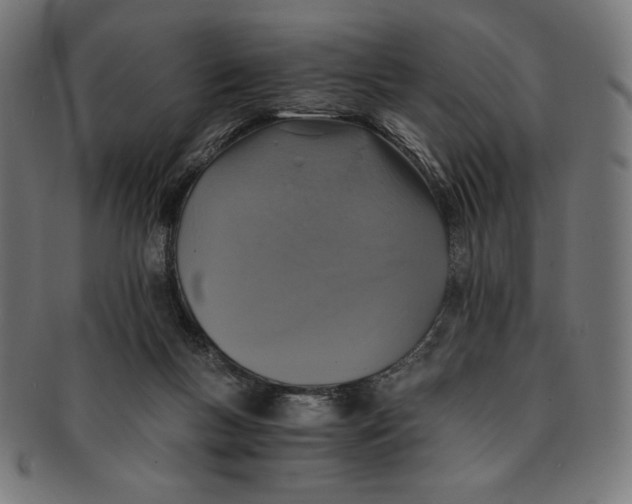 X0000091200167200709061420