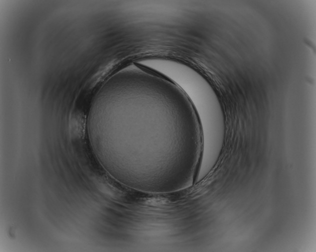 X0000091200168200709061420
