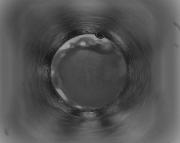 X0000091200169200709061420