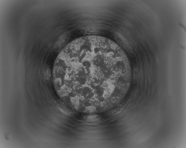 X0000091200173200709061420