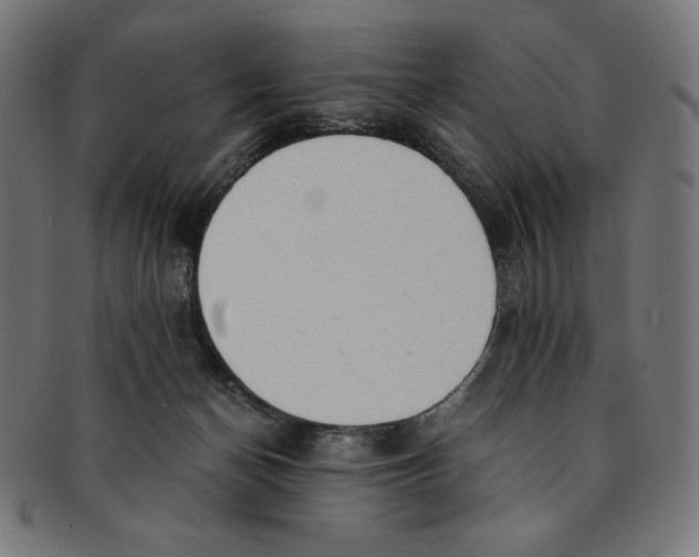 X0000091200174200709061420