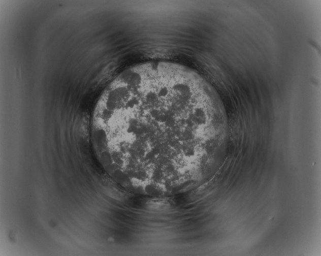 X0000091200175200709061420