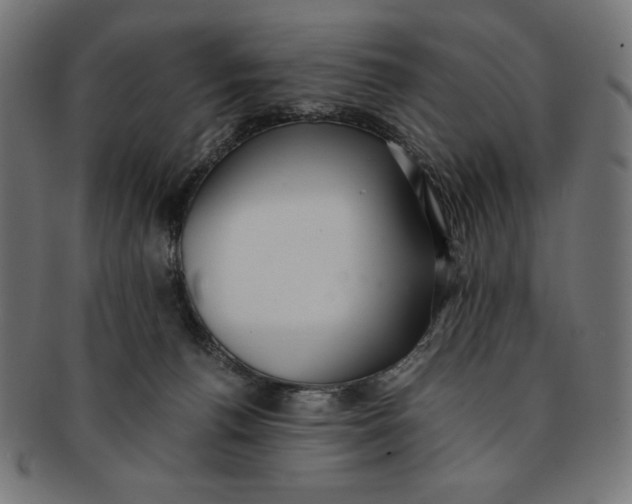 X0000091200176200709061420