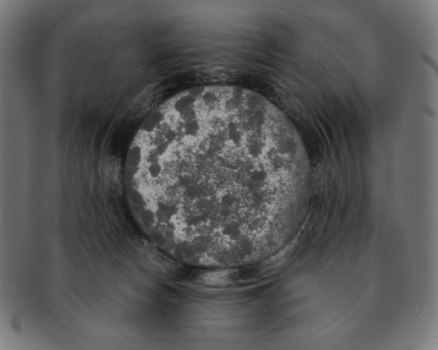 X0000091200178200709061420