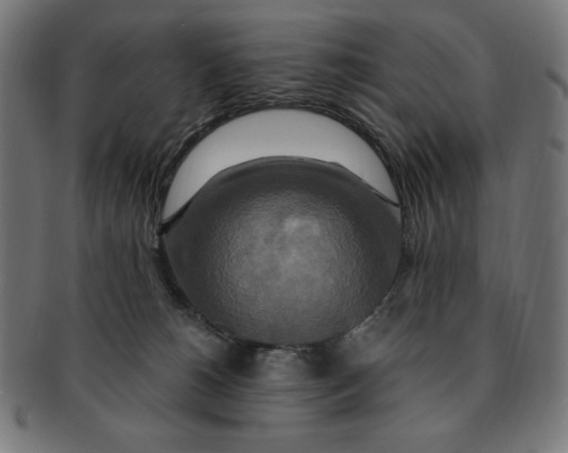 X0000091200180200709061420