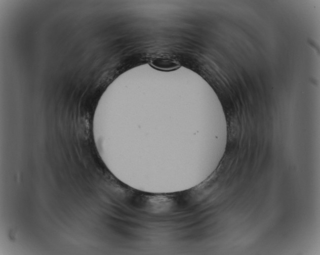 X0000091200183200709061420