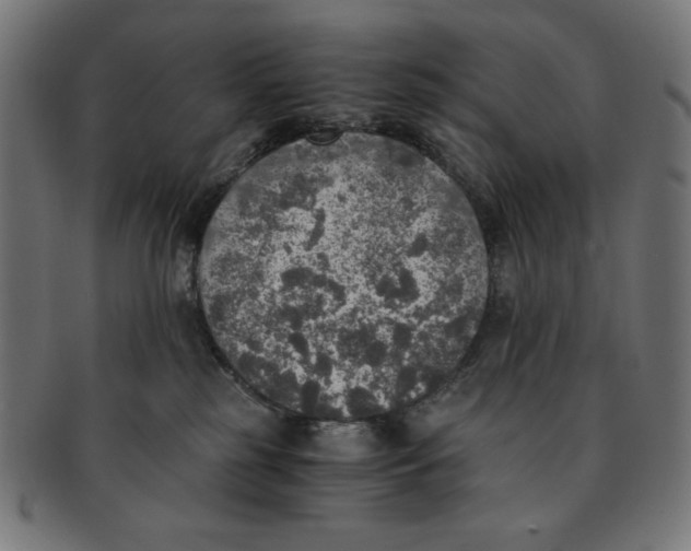 X0000091200185200709061420