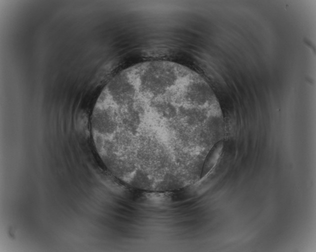 X0000091200187200709061420