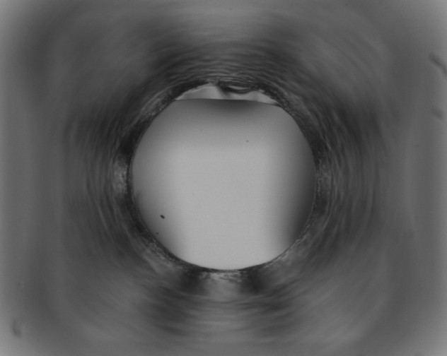 X0000091200188200709061420