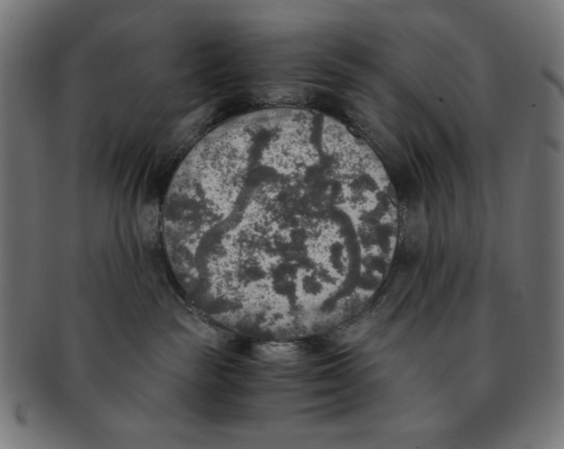 X0000091200189200709061420