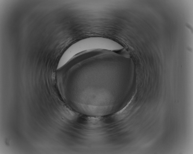 X0000091200192200709061420