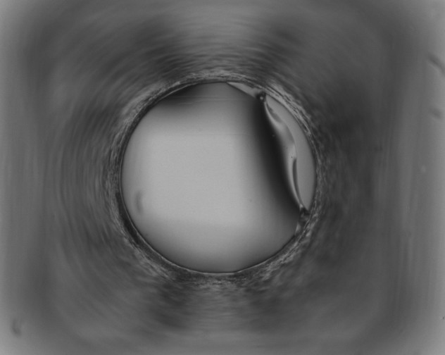 X0000091200193200709061419