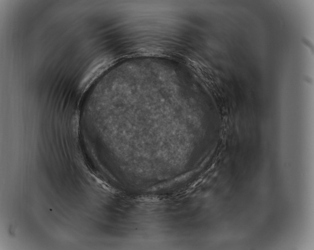X0000091200194200709061419
