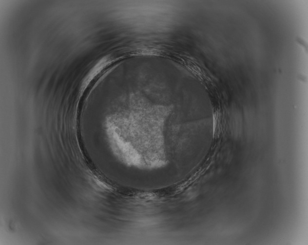 X0000091200195200709061419