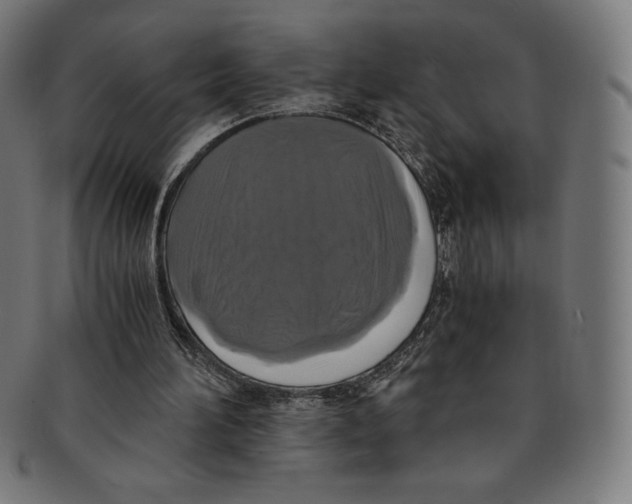 X0000091200196200709061419