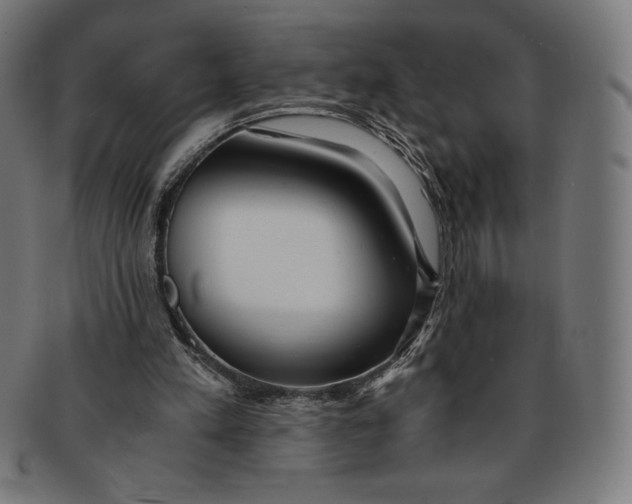X0000091200197200709061419