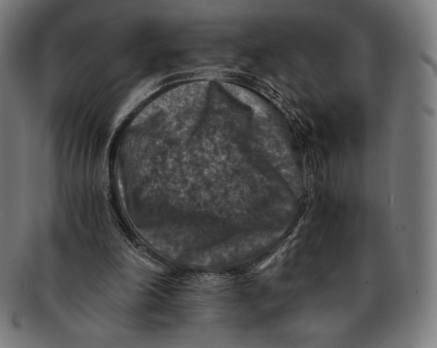 X0000091200198200709061419