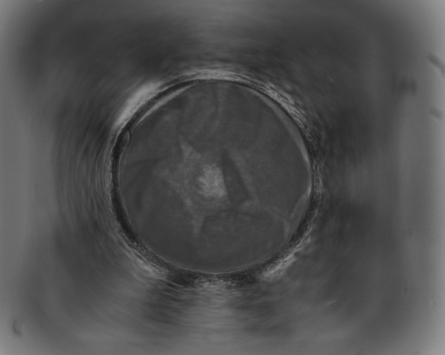 X0000091200199200709061419