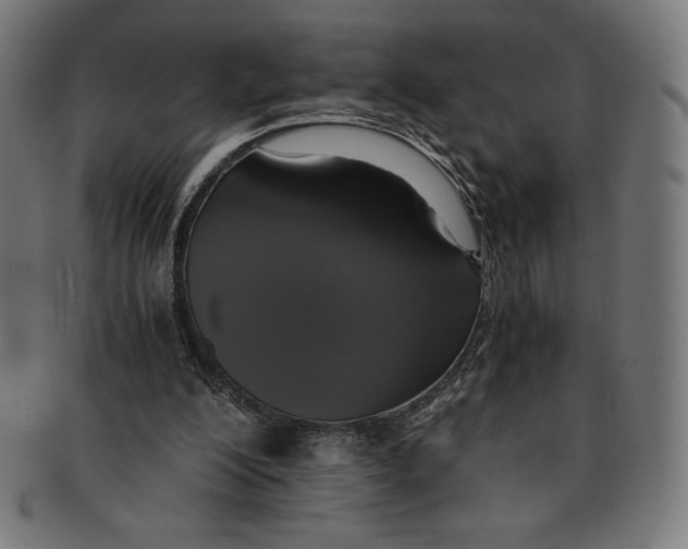 X0000091200200200709061419