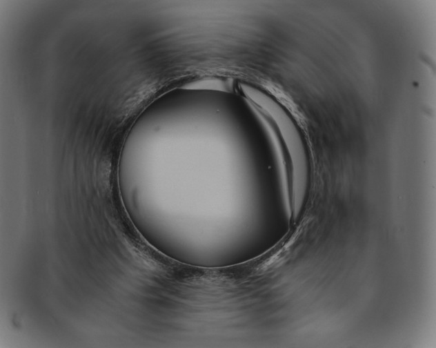 X0000091200201200709061419
