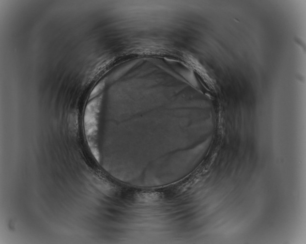 X0000091200202200709061419