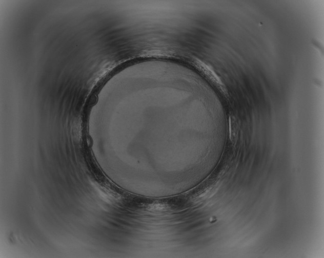 X0000091200204200709061419