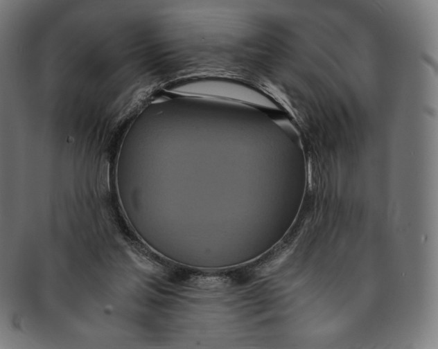 X0000091200205200709061419