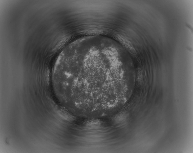 X0000091200206200709061419