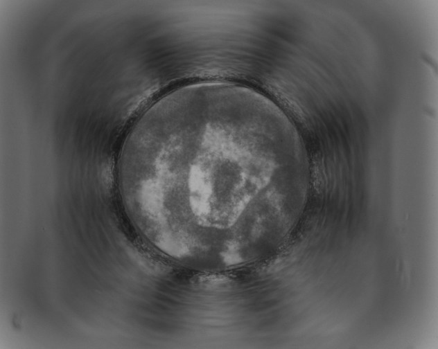 X0000091200208200709061419