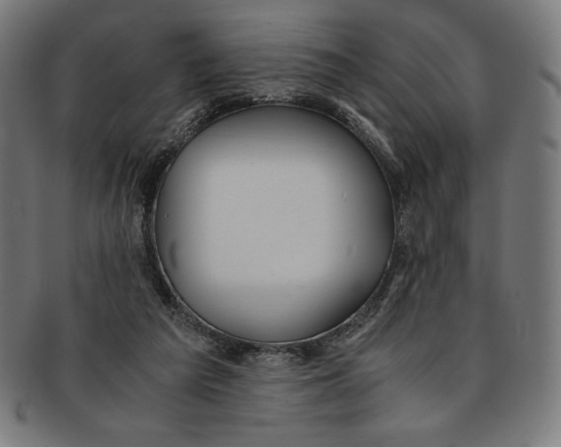 X0000091200209200709061419