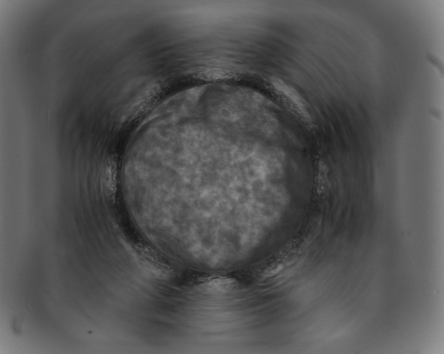 X0000091200210200709061419