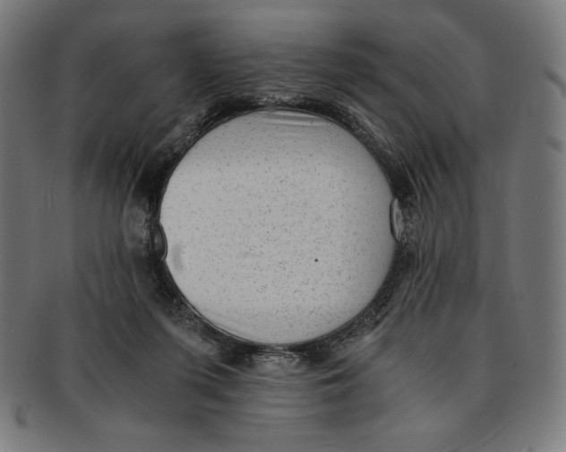 X0000091200215200709061419