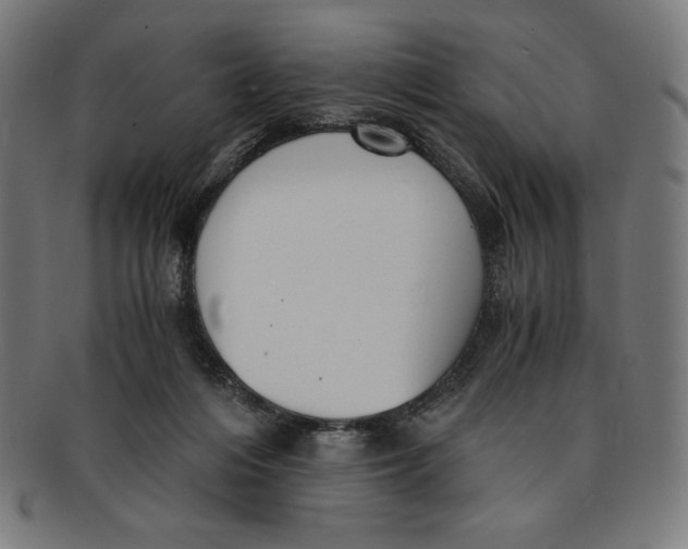 X0000091200216200709061419