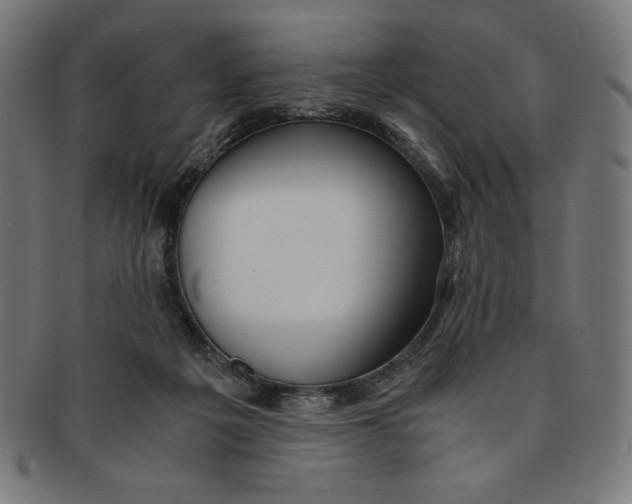 X0000091200217200709061419
