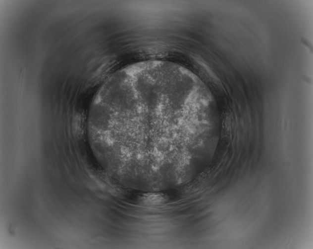X0000091200218200709061419