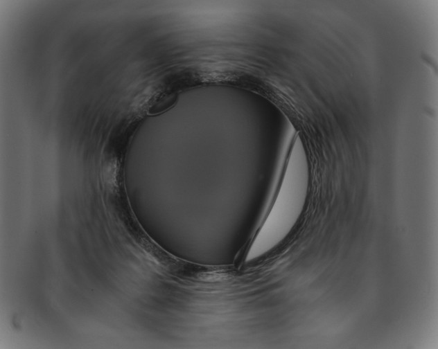 X0000091200219200709061419