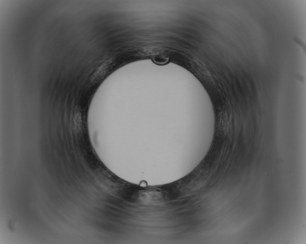 X0000091200220200709061419